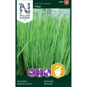 Frø gressløk Biggy