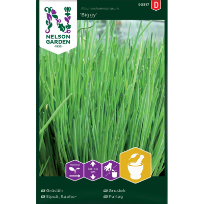 Frø gressløk Biggy