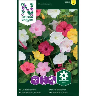 Frø mirakelblomst, bilde 2