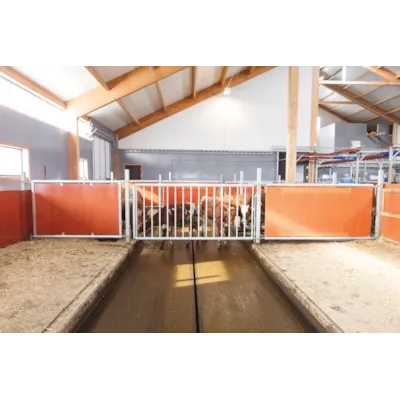 Skillegitter for storfe