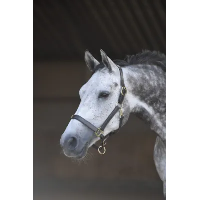 Lærgrime svart/messing