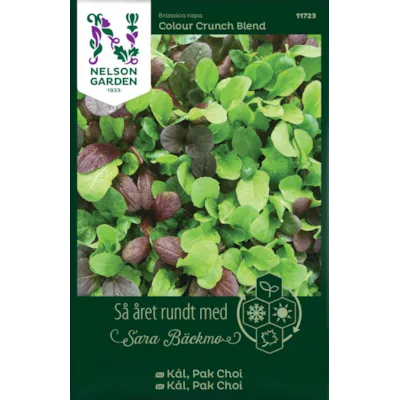 Frø Pak Choi kål Colour Crunch Blend