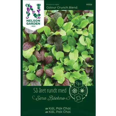 Frø Pak Choi kål Colour Crunch Blend