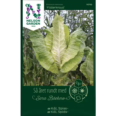 Frø spisskål Filderkraut