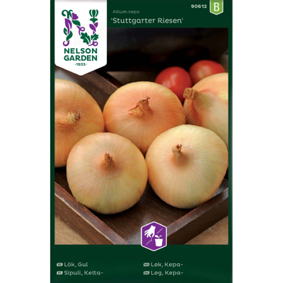 Frø kepaløk Stuttgarter Riesen