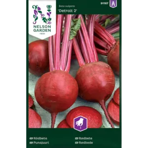Frø rødbete Detroit 2