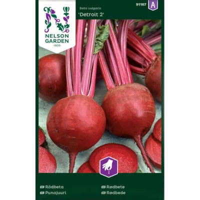 Frø rødbete Detroit 2