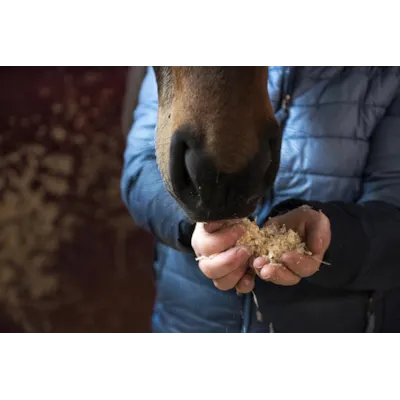 Kutterspon 22 kg, bilde 2