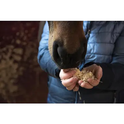 Kutterspon 22 kg, bilde 2