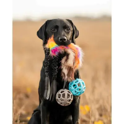 Hundeleke Play-N-Tug Unicorn ball, bilde 2