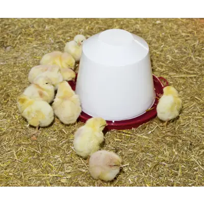 Vannautomat kylling og vaktel, bilde 5