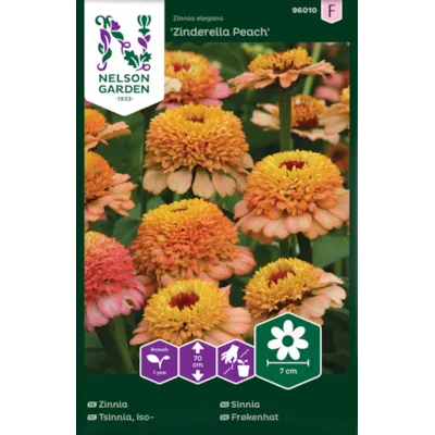 Frø sinnia Zinderella Peach, bilde 2