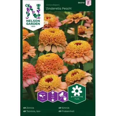 Frø sinnia Zinderella Peach, bilde 2