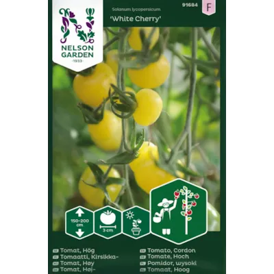 Frø tomat høy White Cherry