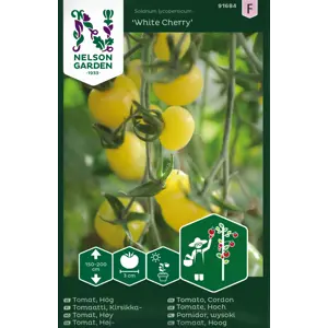 Frø tomat høy White Cherry