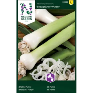 Frø purre Blaugrüner Winter