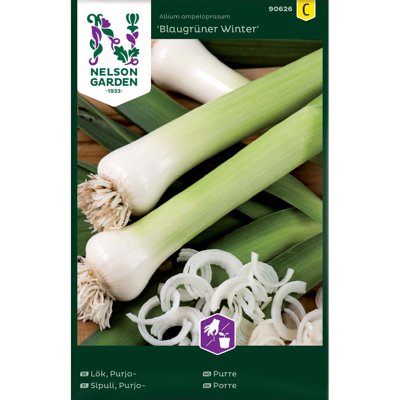 Frø purre Blaugrüner Winter