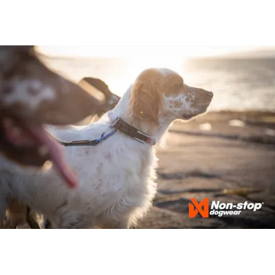 Halsbånd Roam svart, bilde 2