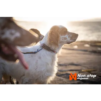 Halsbånd Roam svart, bilde 2