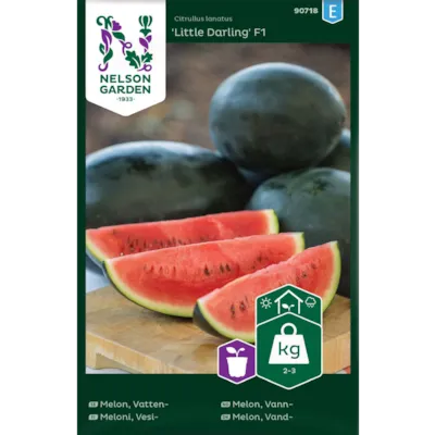 Frø vannmelon Little Darling