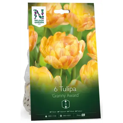 Høstløk tulipan Granny Award