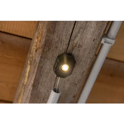 SmartCoop LED belysning, bilde 7