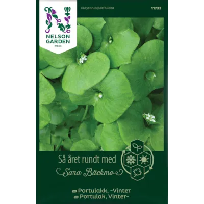 Frø vinterportulakk