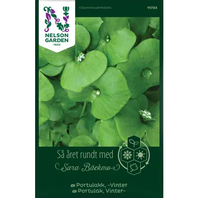 Frø vinterportulakk