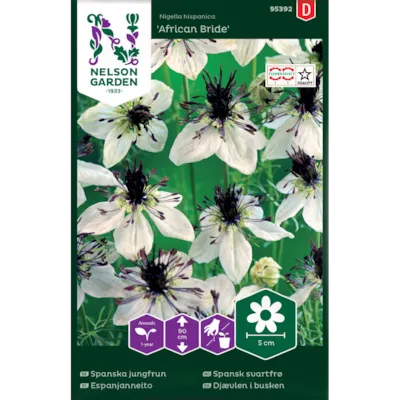 Frø spansk svartfrø African Bride