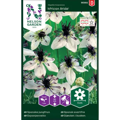 Frø spansk svartfrø African Bride, bilde 2