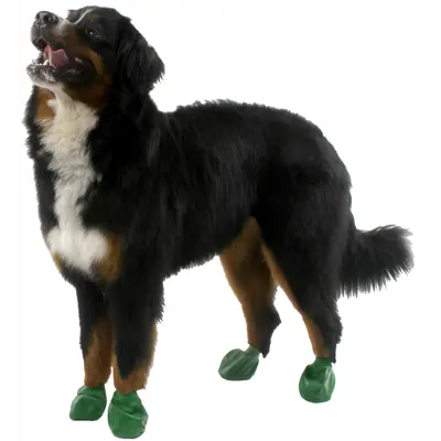 Potesokker gummi 12 pk, bilde 14