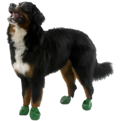 Potesokker gummi 12 pk, bilde 14