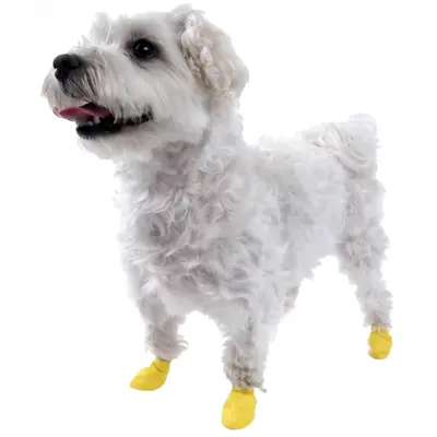 Potesokker gummi 12 pk, bilde 10