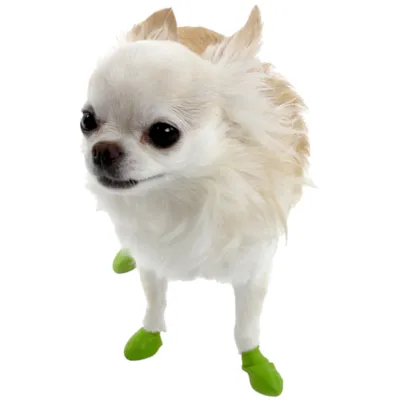 Potesokker gummi 12 pk, bilde 13