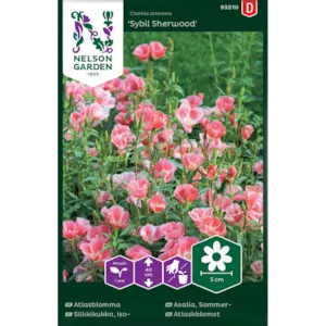 Frø sommerasalia Sybil Sherwood