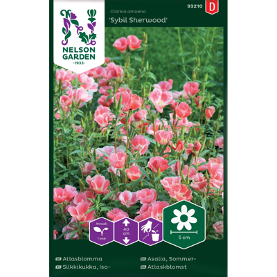 Frø sommerasalia Sybil Sherwood