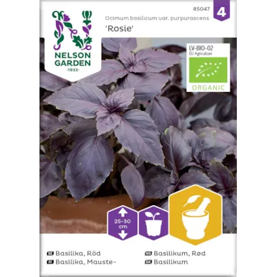 Frø basilikum rød Rosie rød økologisk
