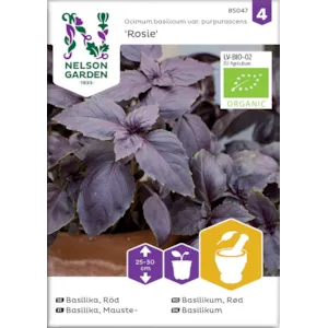 Frø basilikum rød Rosie rød økologisk