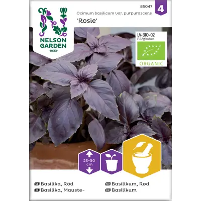 Frø basilikum rød Rosie rød økologisk