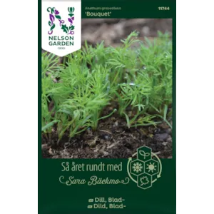 Frø bladdill Bouquet