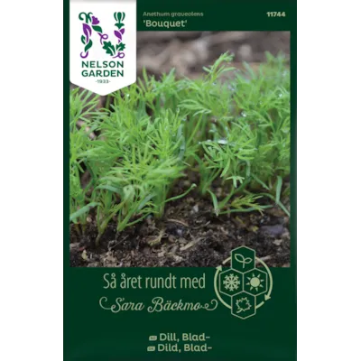 Frø bladdill Bouquet