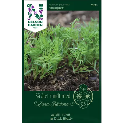 Frø bladdill Bouquet