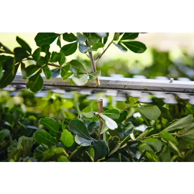 Batteridrevet hekksaks 11V HSA 40.0 sett, bilde 3