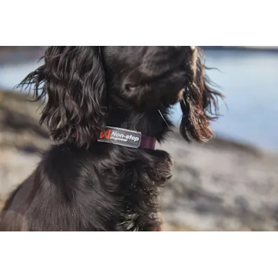 Halsbånd Tumble lilla XS, bilde 3