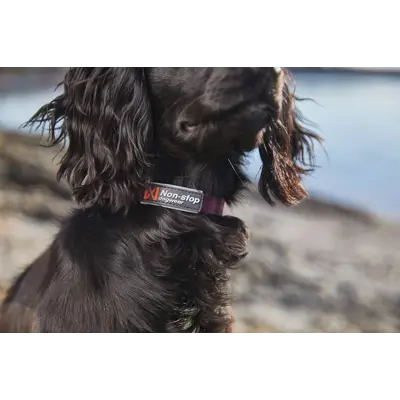 Halsbånd Tumble lilla XS, bilde 3