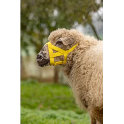 Grime for sau/geit gul, bilde 3