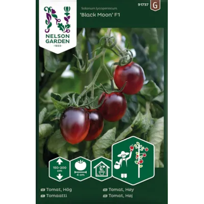 Frø cherrytomat Black Moon