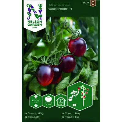 Frø cherrytomat Black Moon