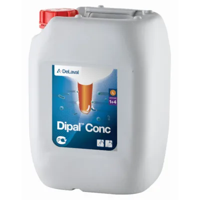 Spenedypp Dipal Conc 5 L