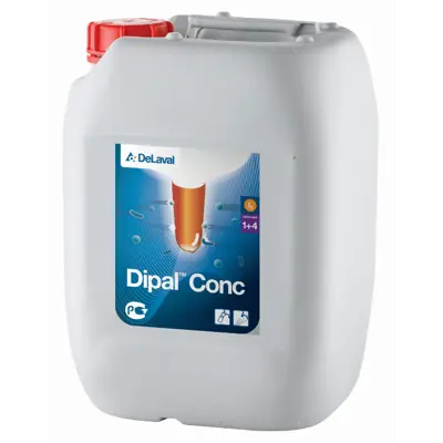 Spenedypp Dipal Conc 5 L